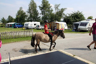 ferienhof07g.jpg