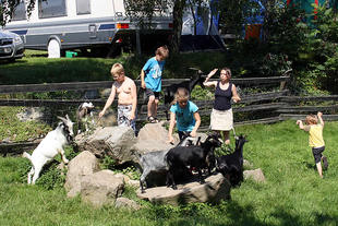 ferienhof12g.jpg