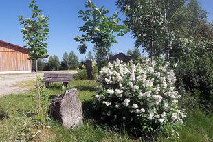 ferienhof25g.jpg