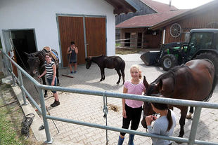 ferienhof48g.jpg