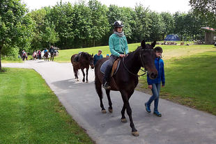 ferienhof58g.jpg