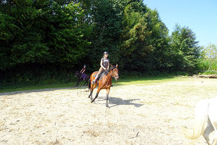 ferienhof74g.jpg