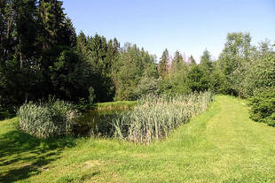 ferienhof82g.jpg